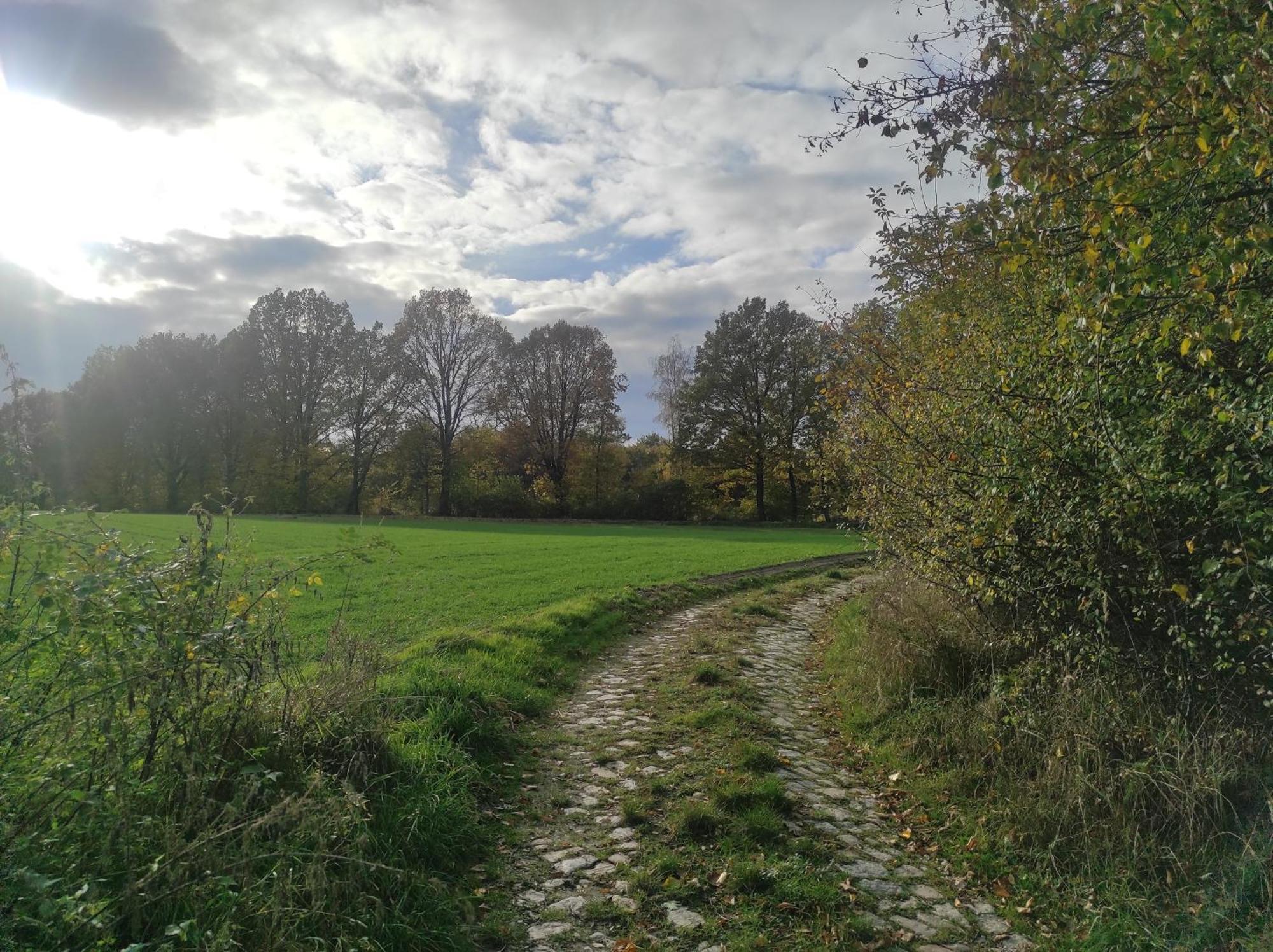 Lazurowa Prowansja - Agroturystyka Villa Toscana โบเลสวาเวียส ภายนอก รูปภาพ